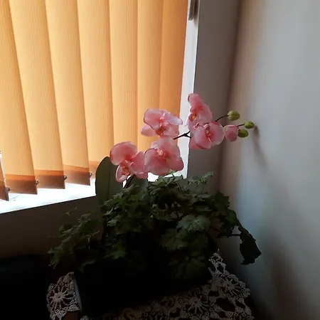 The House Konukevi Filibe